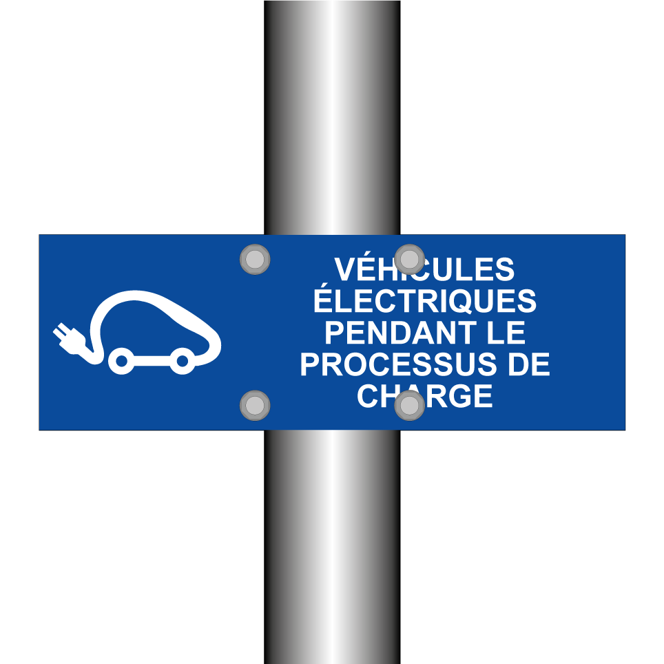 Véhicules électriques pendant le processus de charge