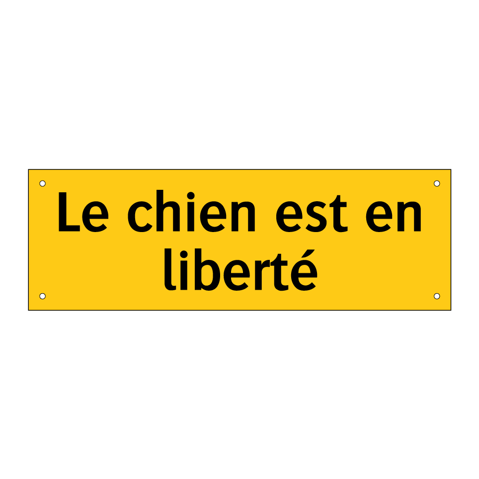 Le chien est en liberté