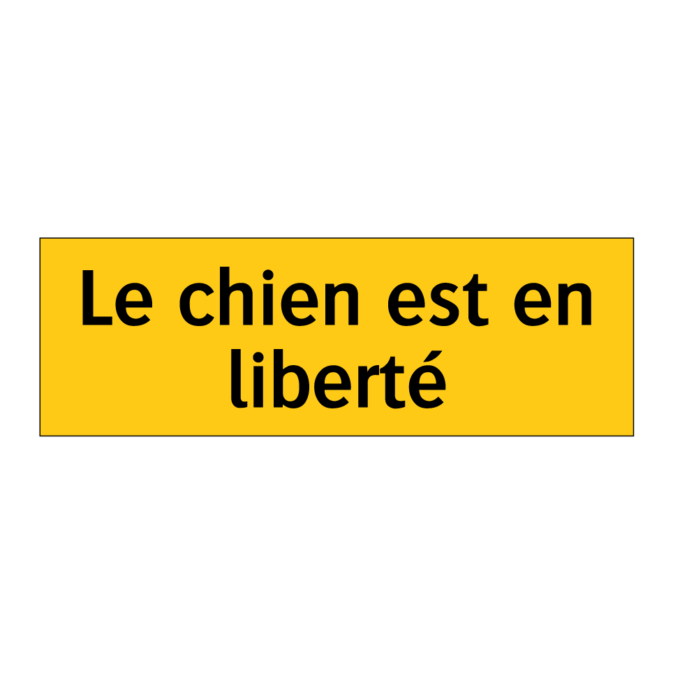 Le chien est en liberté