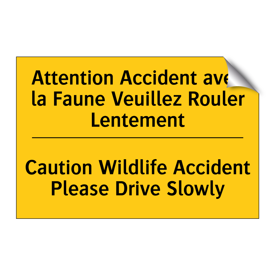Attention Accident avec la Faune /.../ - Caution Wildlife Accident Please /.../