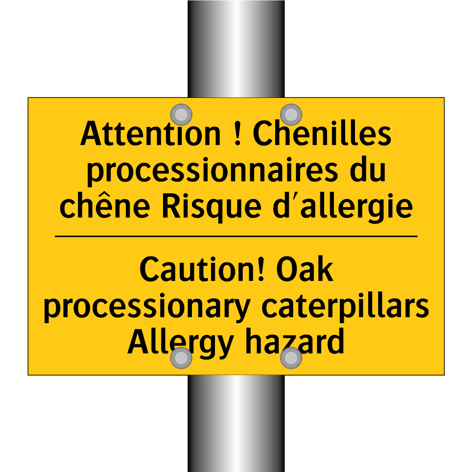 Attention ! Chenilles processionnaires /.../ - Caution! Oak processionary caterpillars /.../