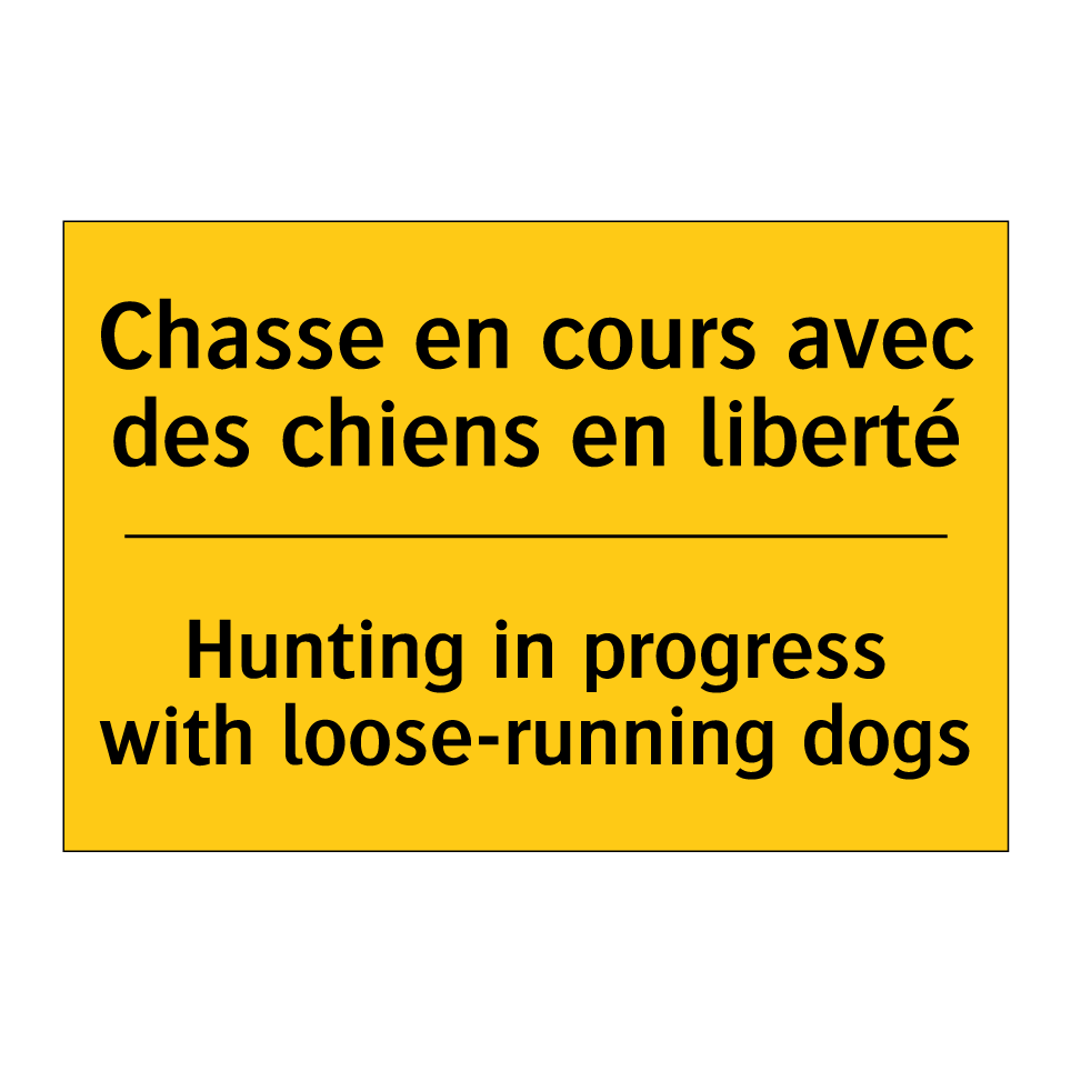Chasse en cours avec des chiens /.../ - Hunting in progress with loose-running /.../