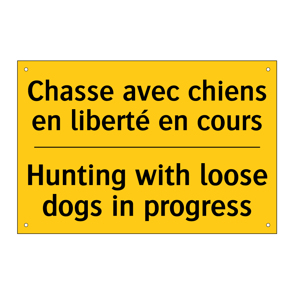 Chasse avec chiens en liberté /.../ - Hunting with loose dogs in progress /.../