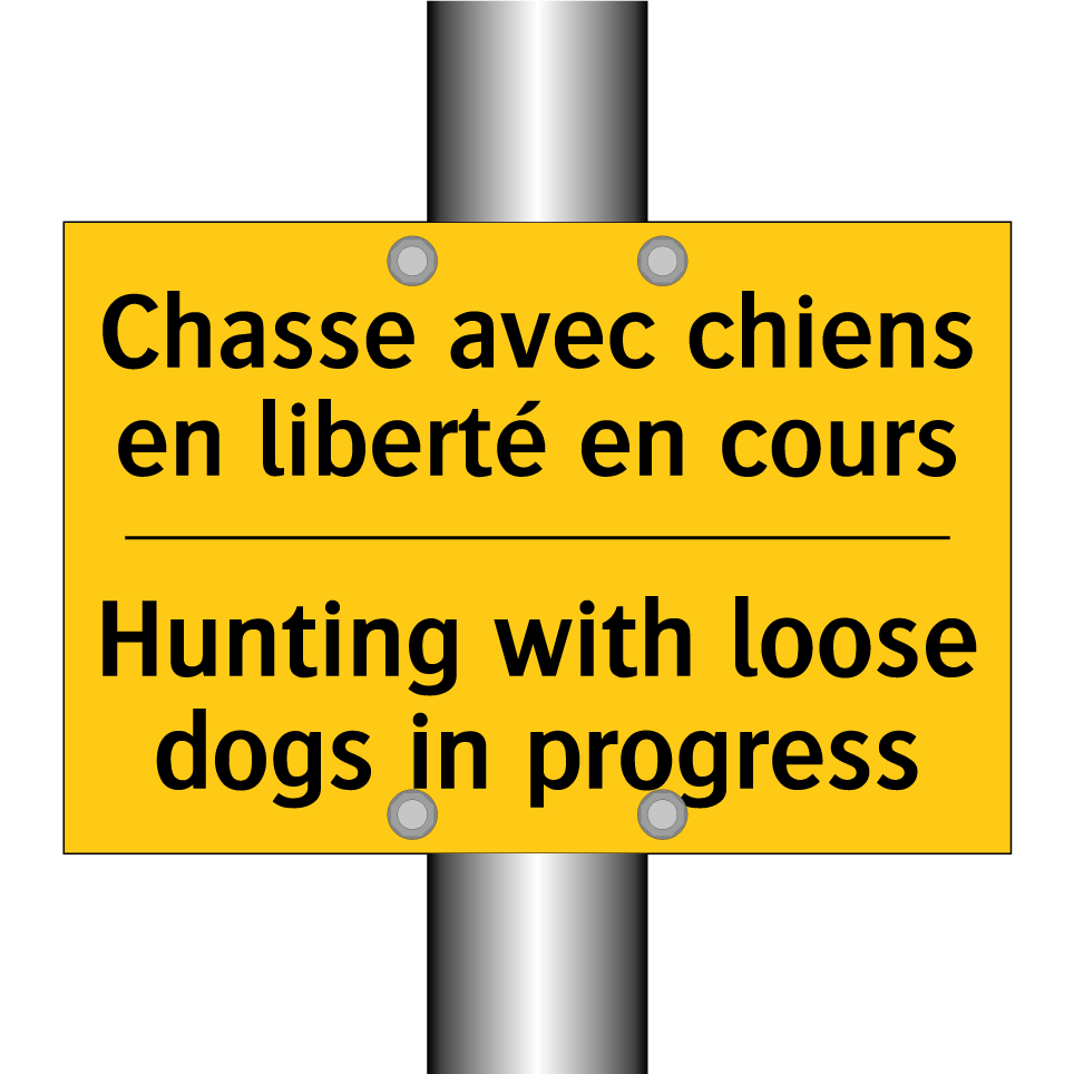 Chasse avec chiens en liberté /.../ - Hunting with loose dogs in progress /.../