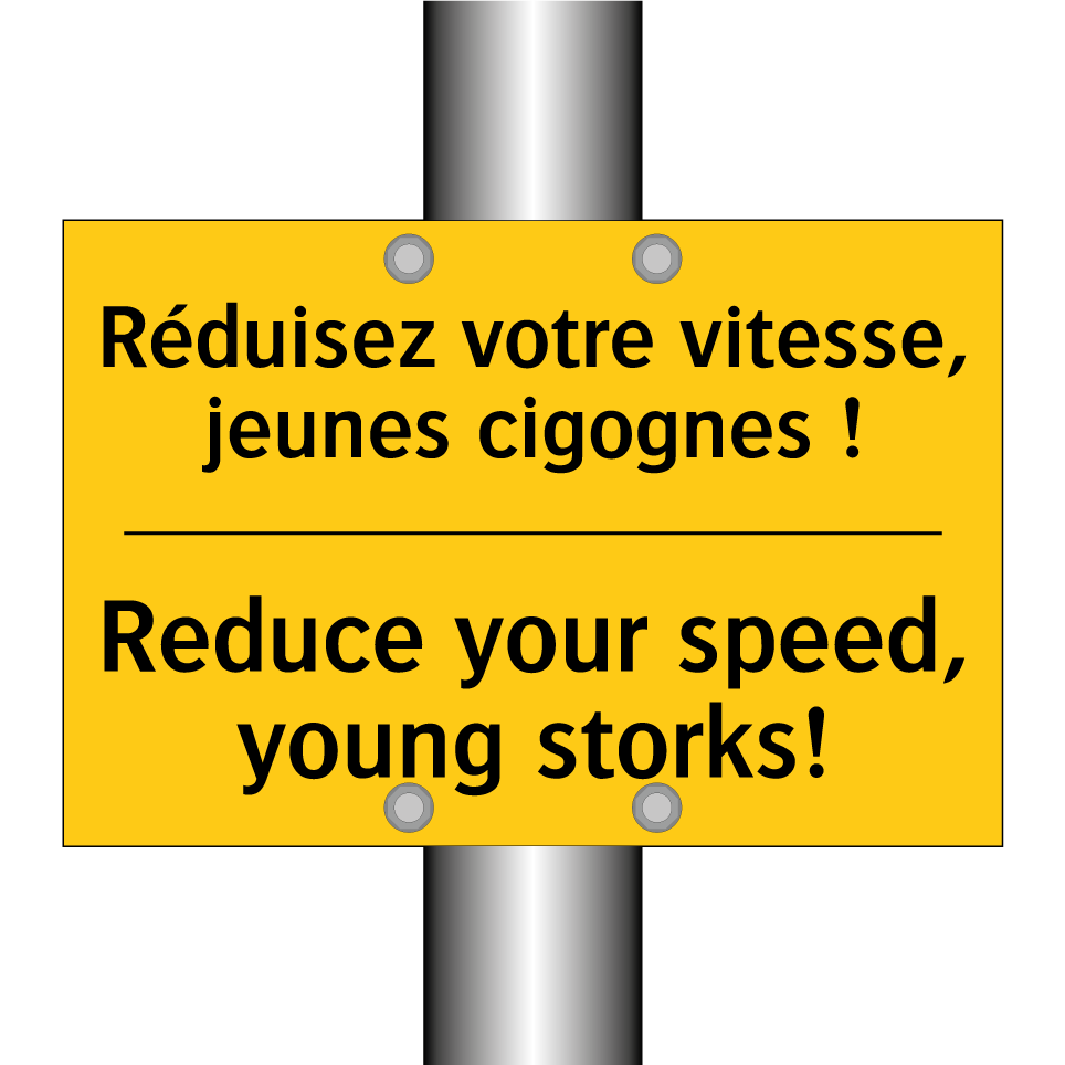 Réduisez votre vitesse, jeunes /.../ - Reduce your speed, young storks! /.../