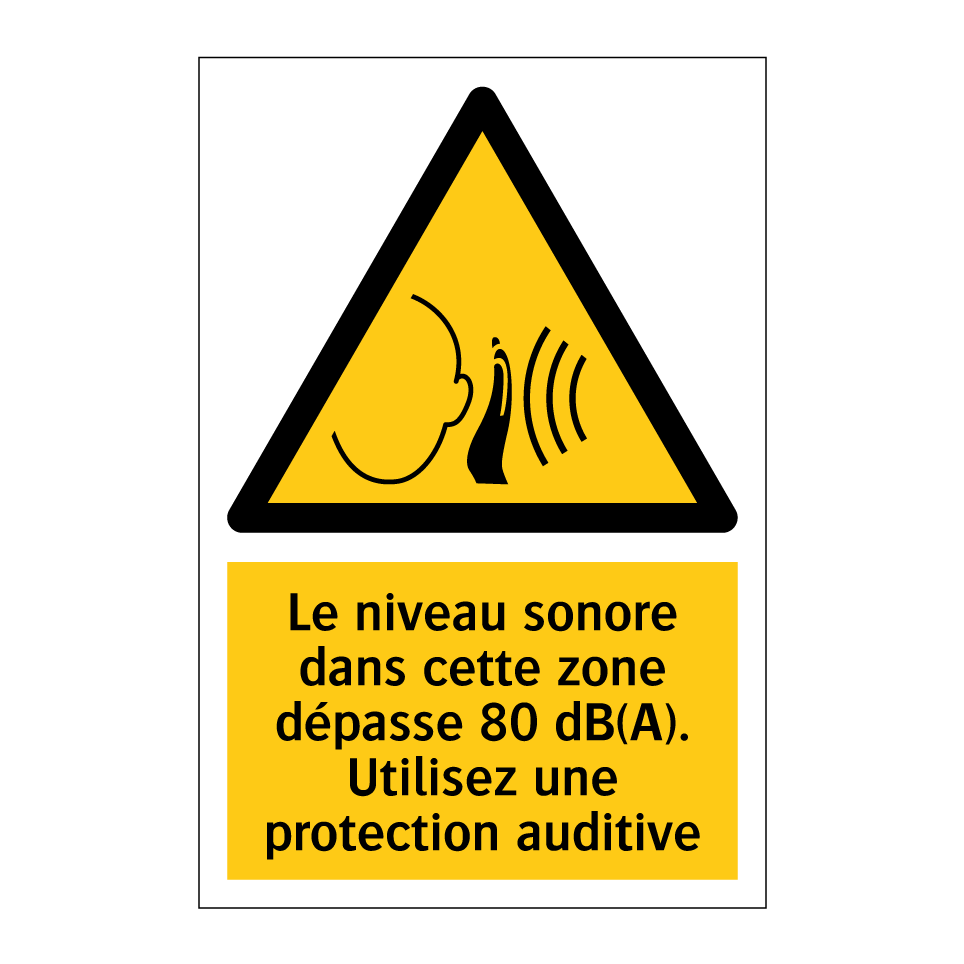 Le niveau sonore dans cette zone dépasse 80 dB(A). Utilisez une protection auditive