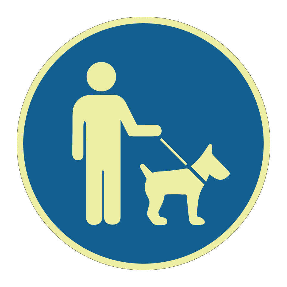 Les chiens doivent être tenus en laisse
