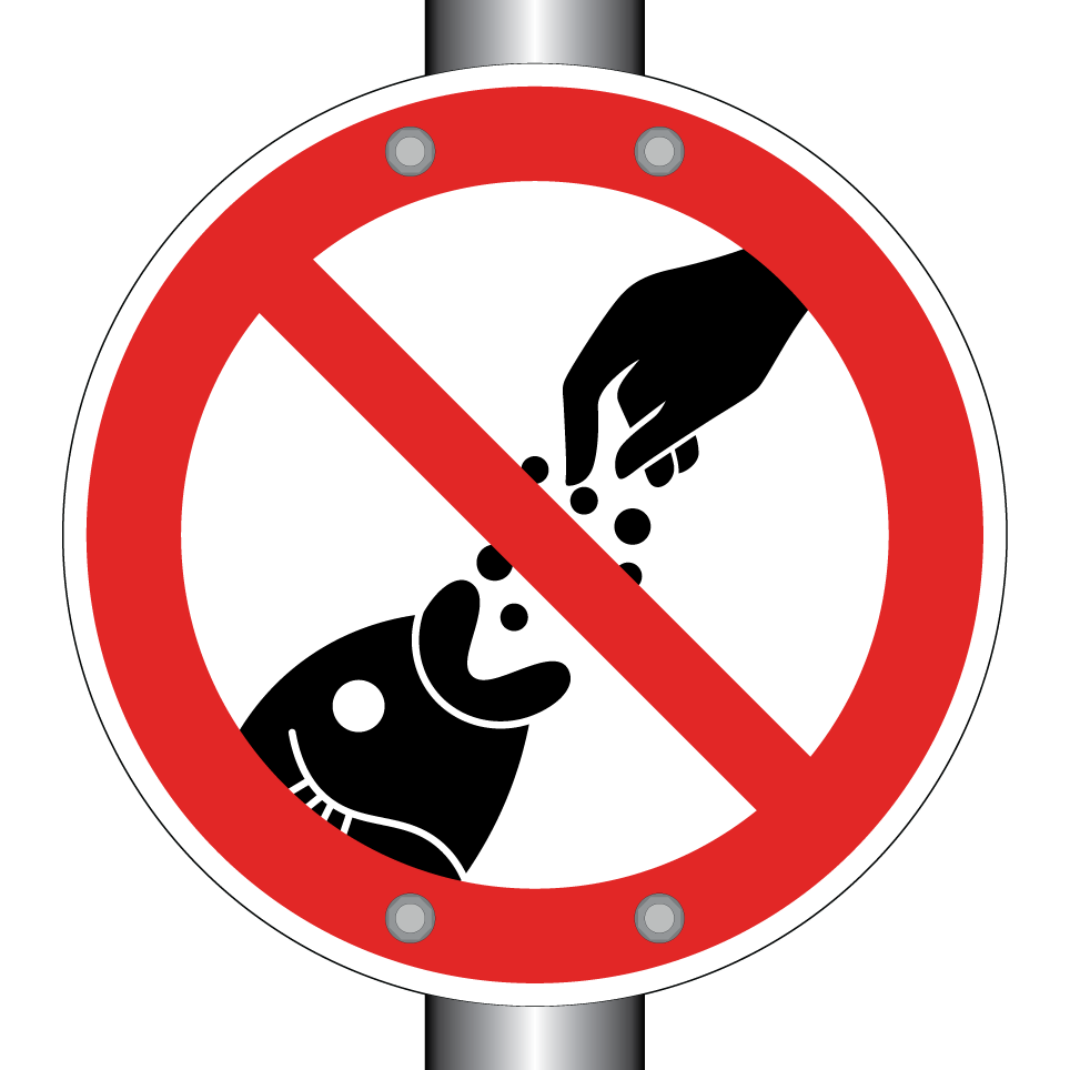 Fische nicht füttern