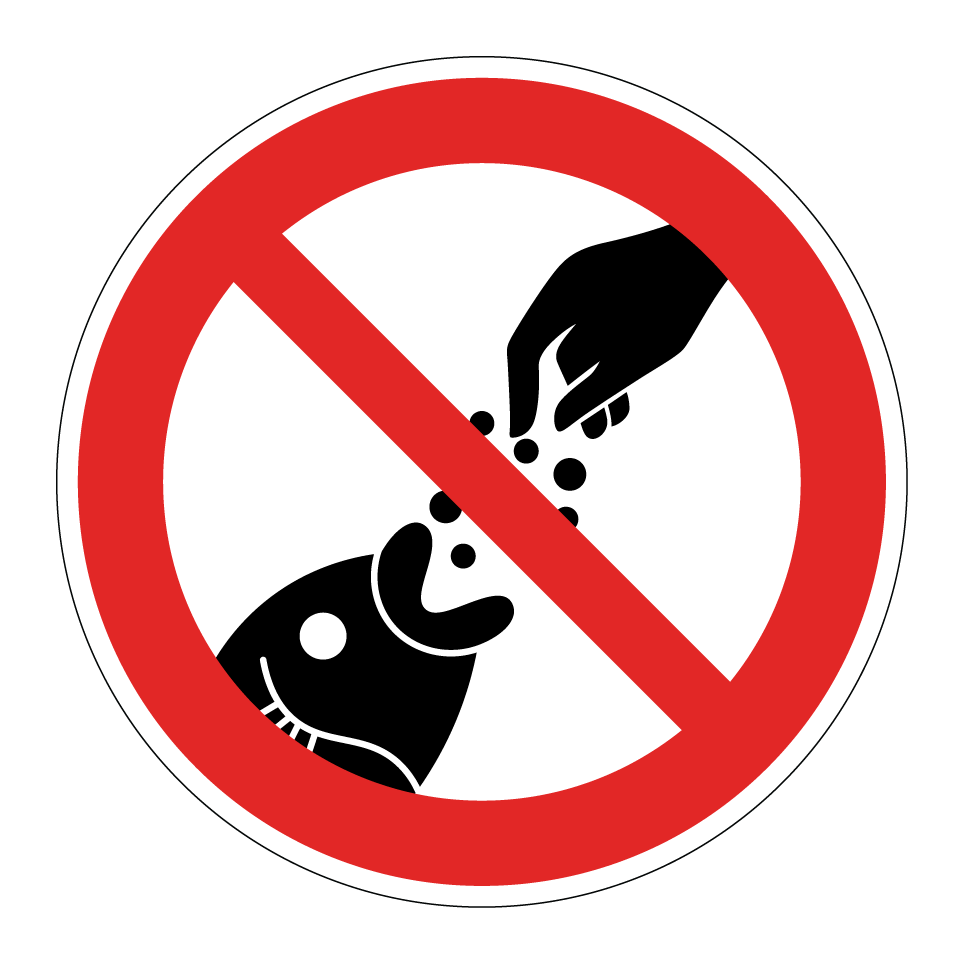 Nourrir les poissons interdit
