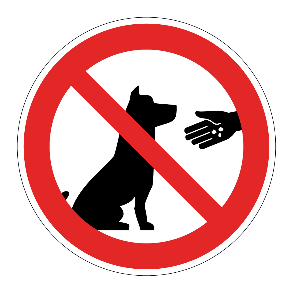 Hunde nicht füttern