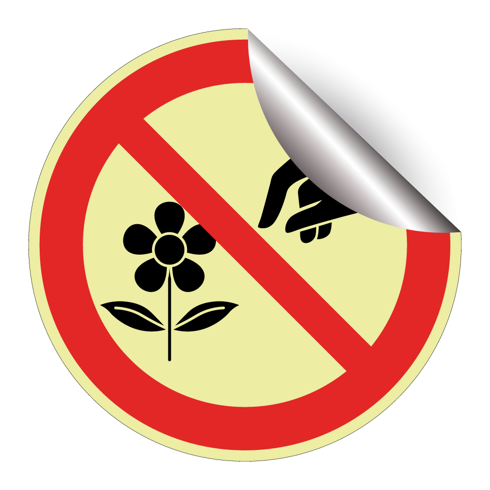 Ne pas cueillir de fleurs