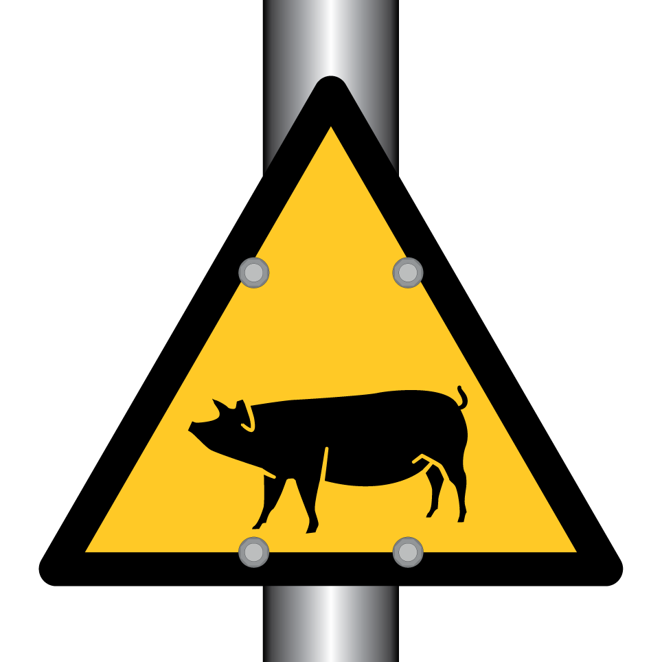 Warnschwein