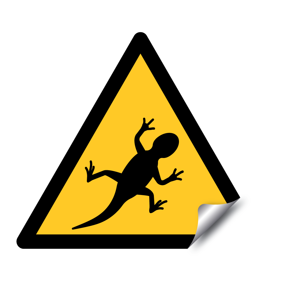 Lézard d'avertissement