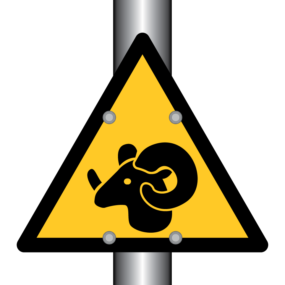 Warnung RAM