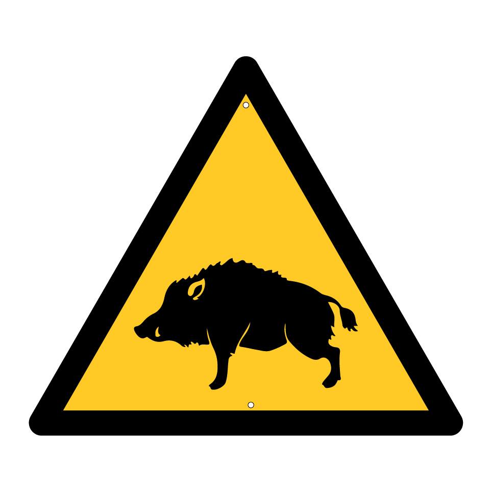Warnung Wildschwein
