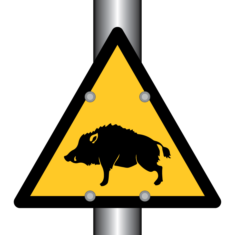 Warnung Wildschwein