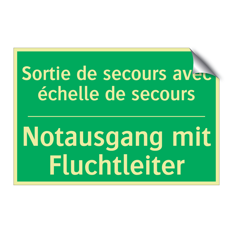 Notausgang mit Fluchtleiter - Sortie de secours avec échelle  /.../