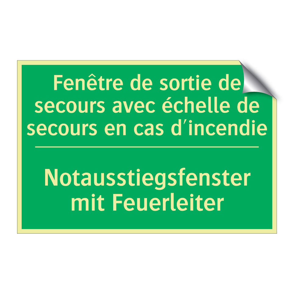 Notausstiegsfenster mit Feuerleiter /.../ - Fenêtre de sortie de secours avec  /.../