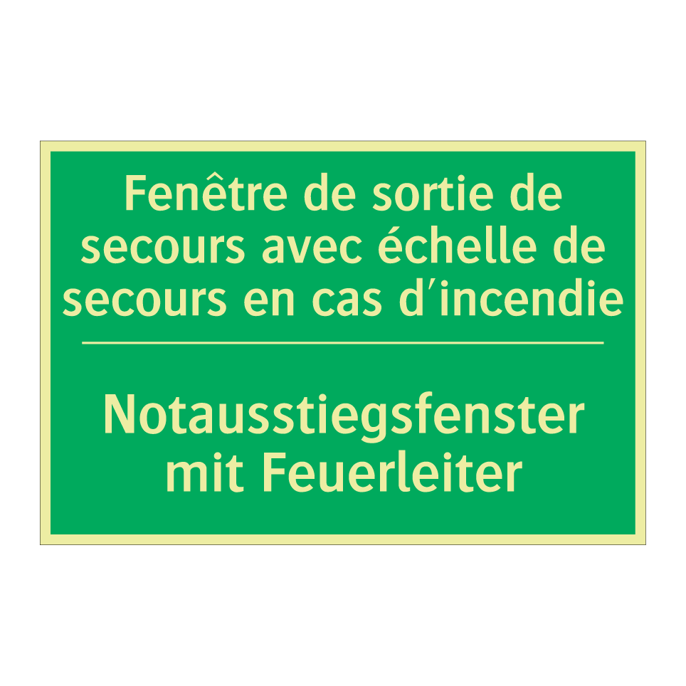 Notausstiegsfenster mit Feuerleiter /.../ - Fenêtre de sortie de secours avec  /.../