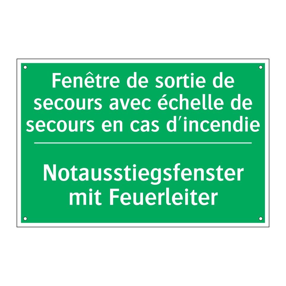 Notausstiegsfenster mit Feuerleiter /.../ - Fenêtre de sortie de secours avec  /.../