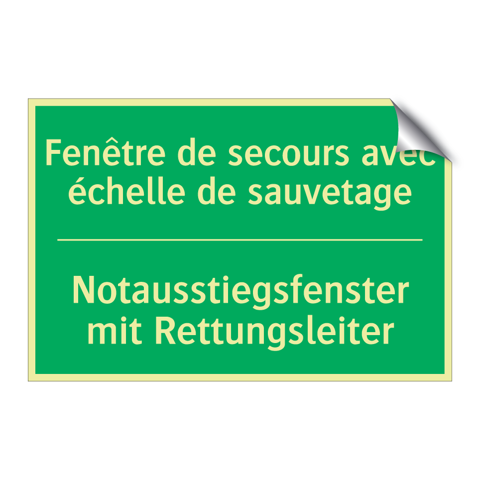 Notausstiegsfenster mit Rettungsleiter /.../ - Fenêtre de secours avec échelle  /.../