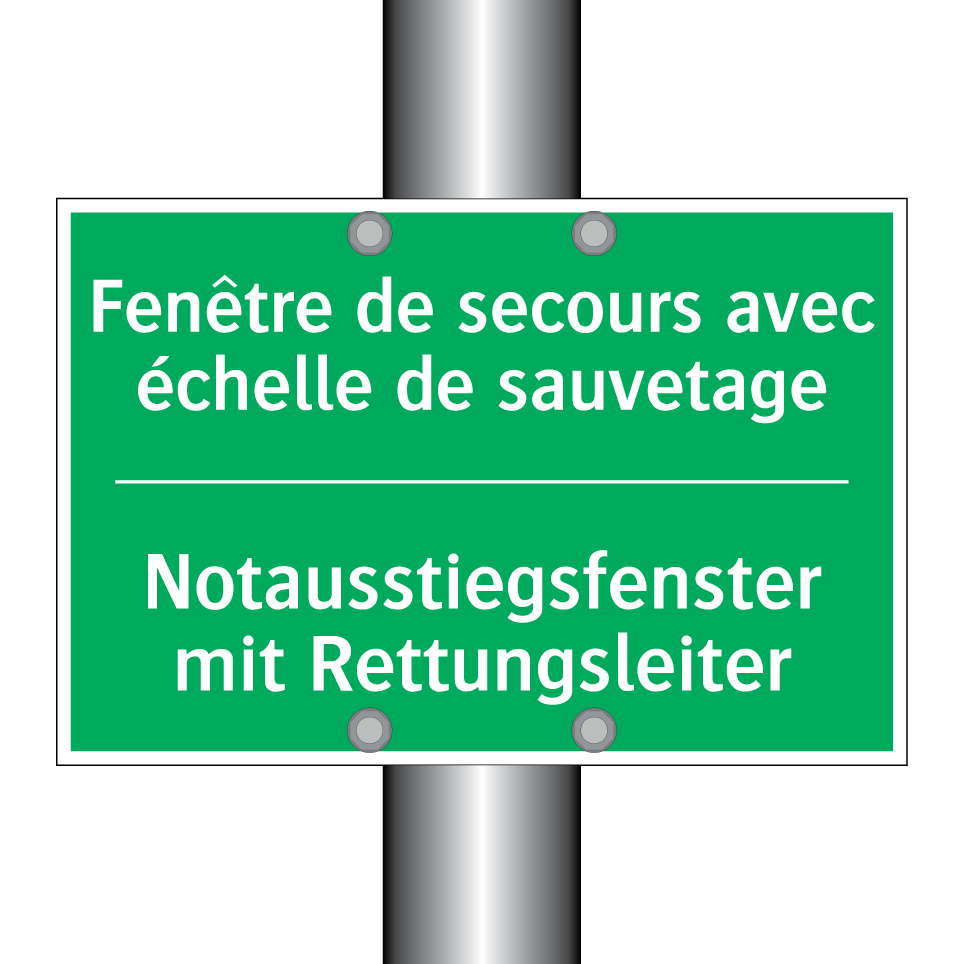 Notausstiegsfenster mit Rettungsleiter /.../ - Fenêtre de secours avec échelle  /.../