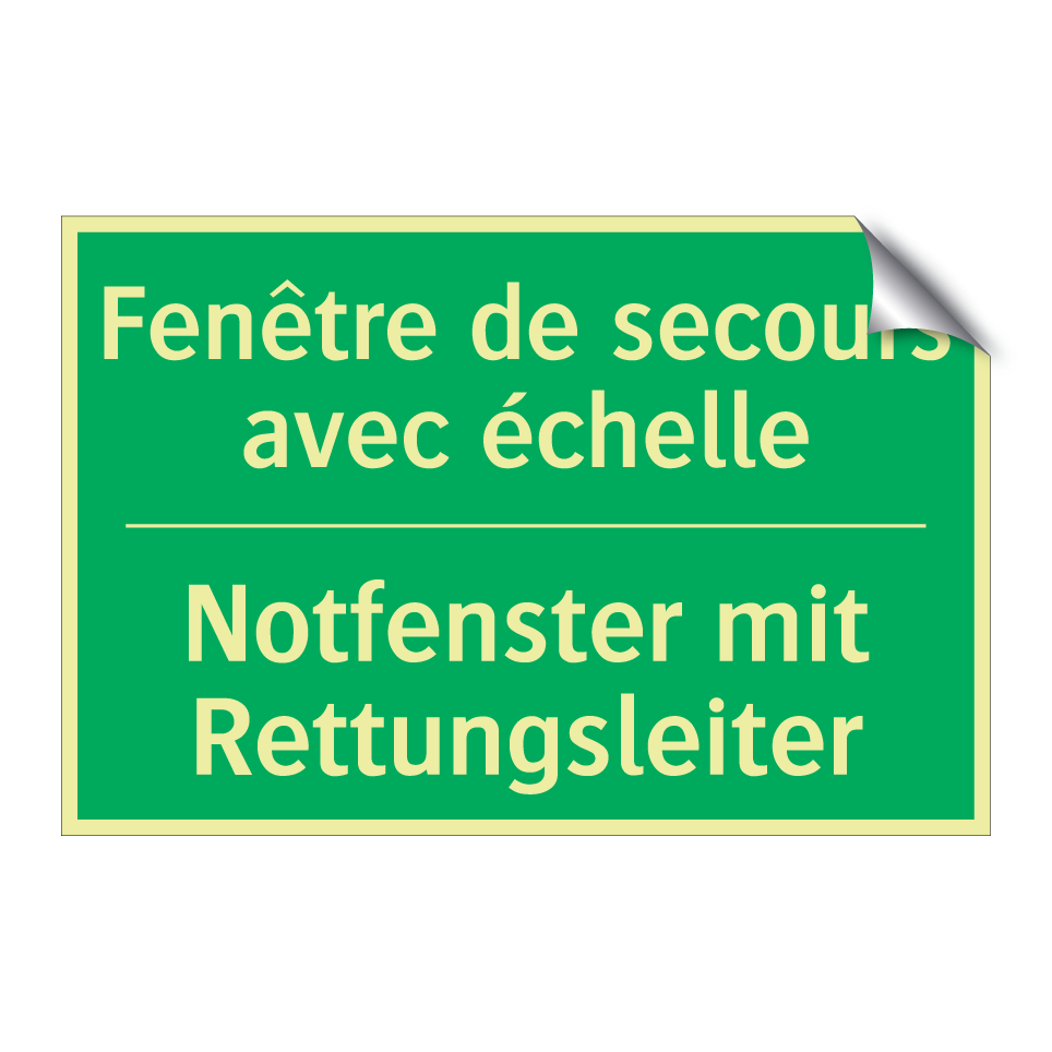 Notfenster mit Rettungsleiter - Fenêtre de secours avec échelle /.../