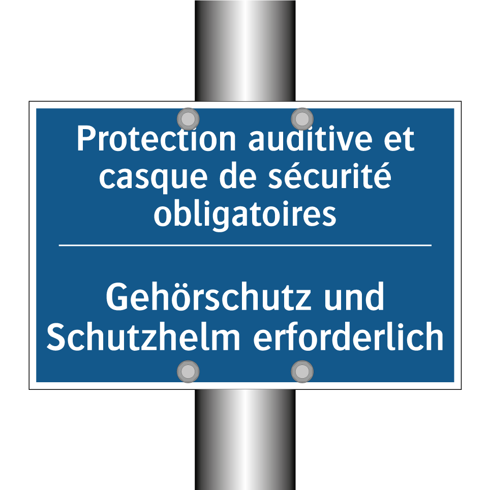 Gehörschutz und Schutzhelm erforderlich /.../ - Protection auditive et casque  /.../