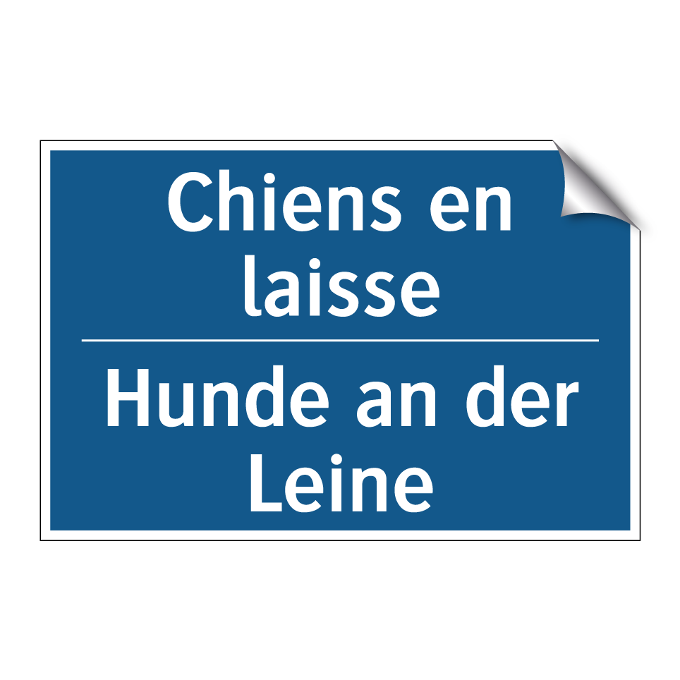 Hunde an der Leine - Chiens en laisse