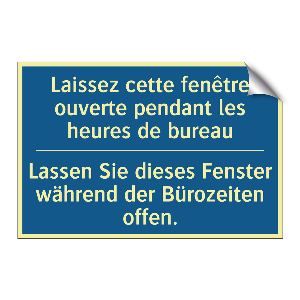 Lassen Sie dieses Fenster während  /.../ - Laissez cette fenêtre ouverte  /.../