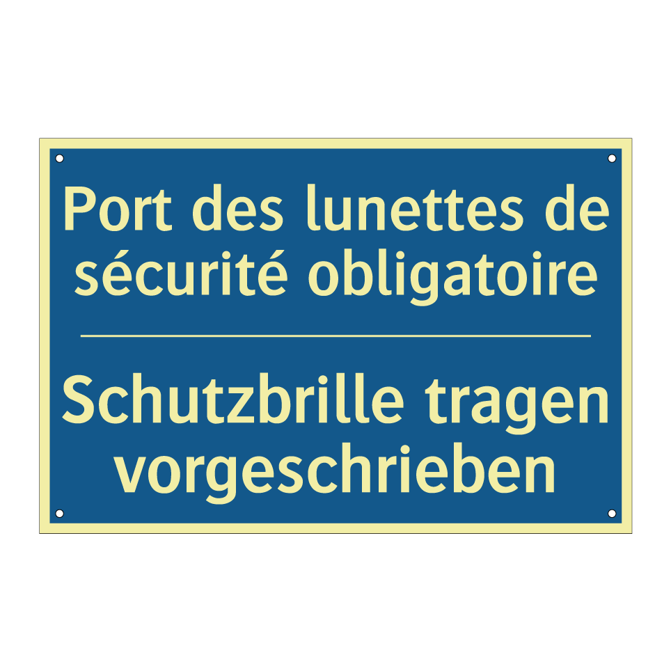 Schutzbrille tragen vorgeschrieben /.../ - Port des lunettes de sécurité  /.../
