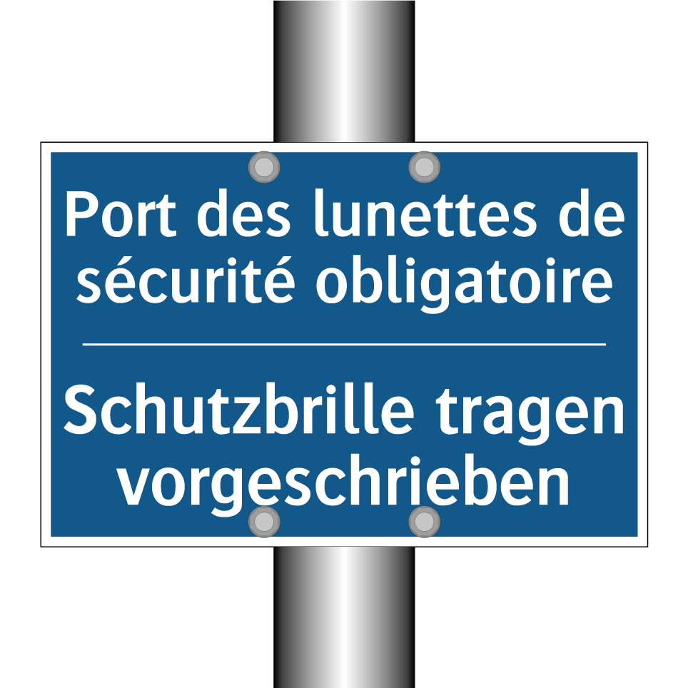 Schutzbrille tragen vorgeschrieben /.../ - Port des lunettes de sécurité  /.../