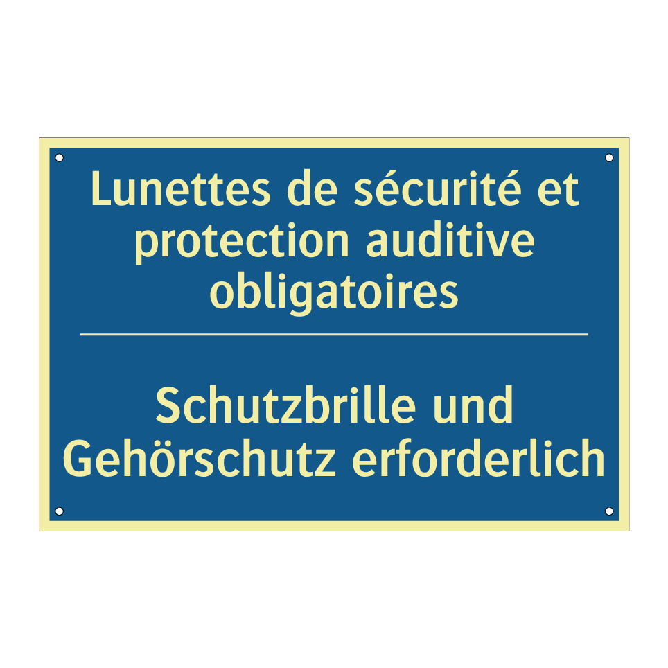 Schutzbrille und Gehörschutz erforderlich /.../ - Lunettes de sécurité et protection  /.../