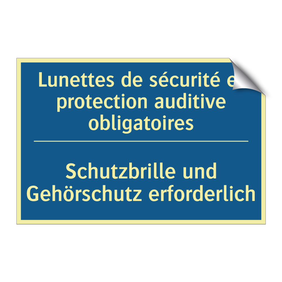 Schutzbrille und Gehörschutz erforderlich /.../ - Lunettes de sécurité et protection  /.../