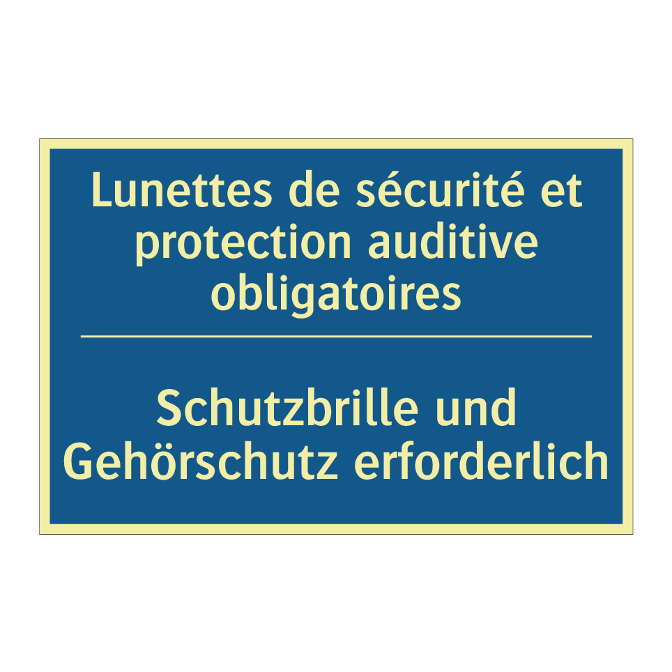 Schutzbrille und Gehörschutz erforderlich /.../ - Lunettes de sécurité et protection  /.../