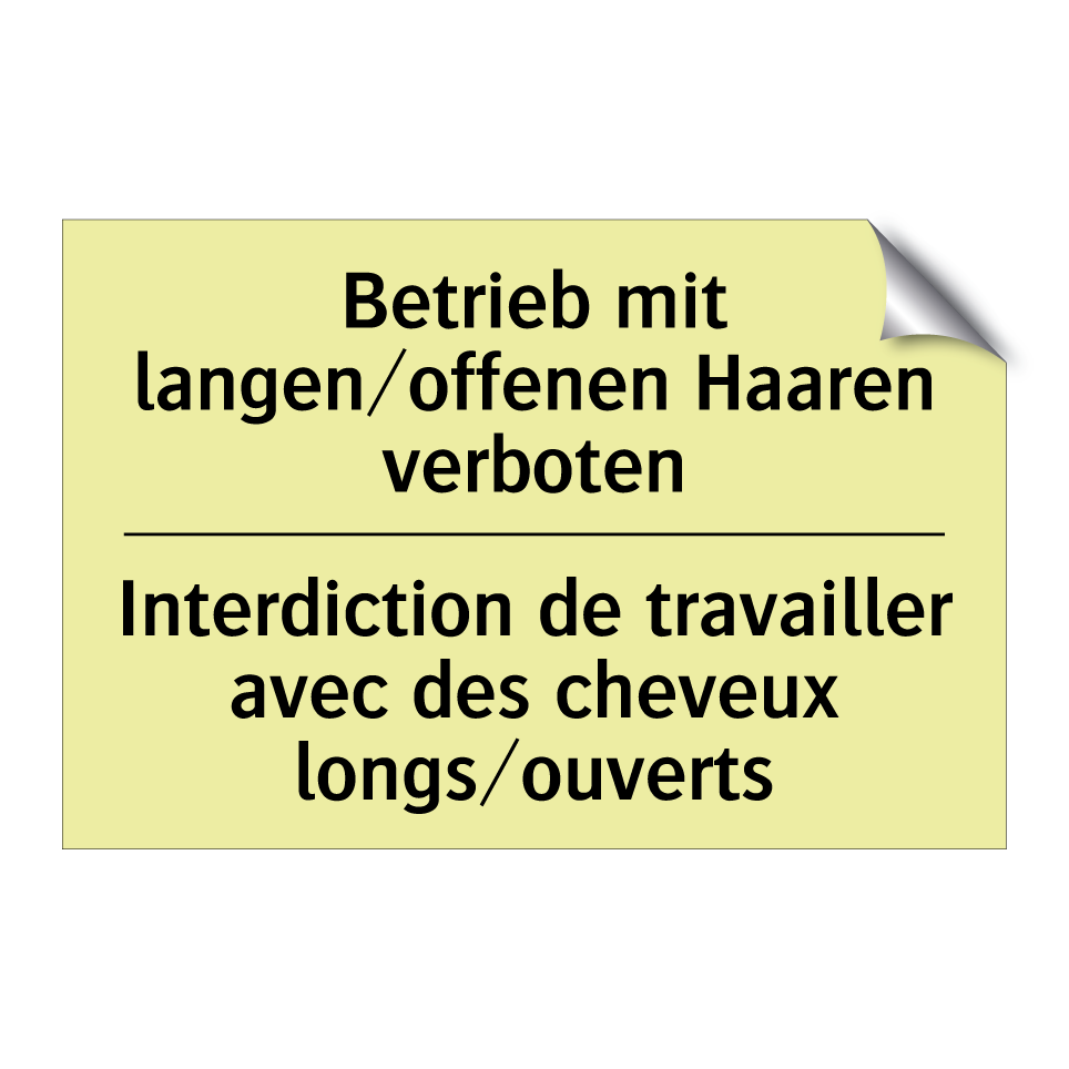 Betrieb mit langen/offenen Haaren /.../ - Interdiction de travailler avec /.../