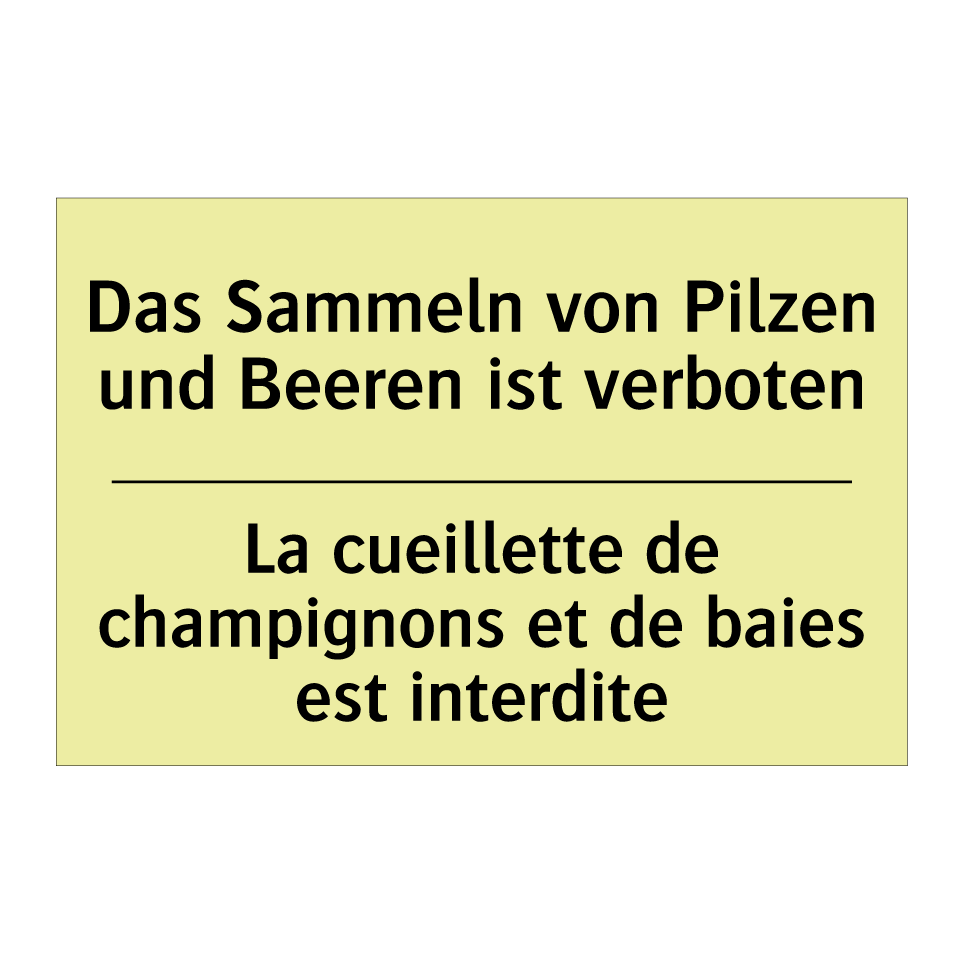 Das Sammeln von Pilzen und Beeren /.../ - La cueillette de champignons et /.../
