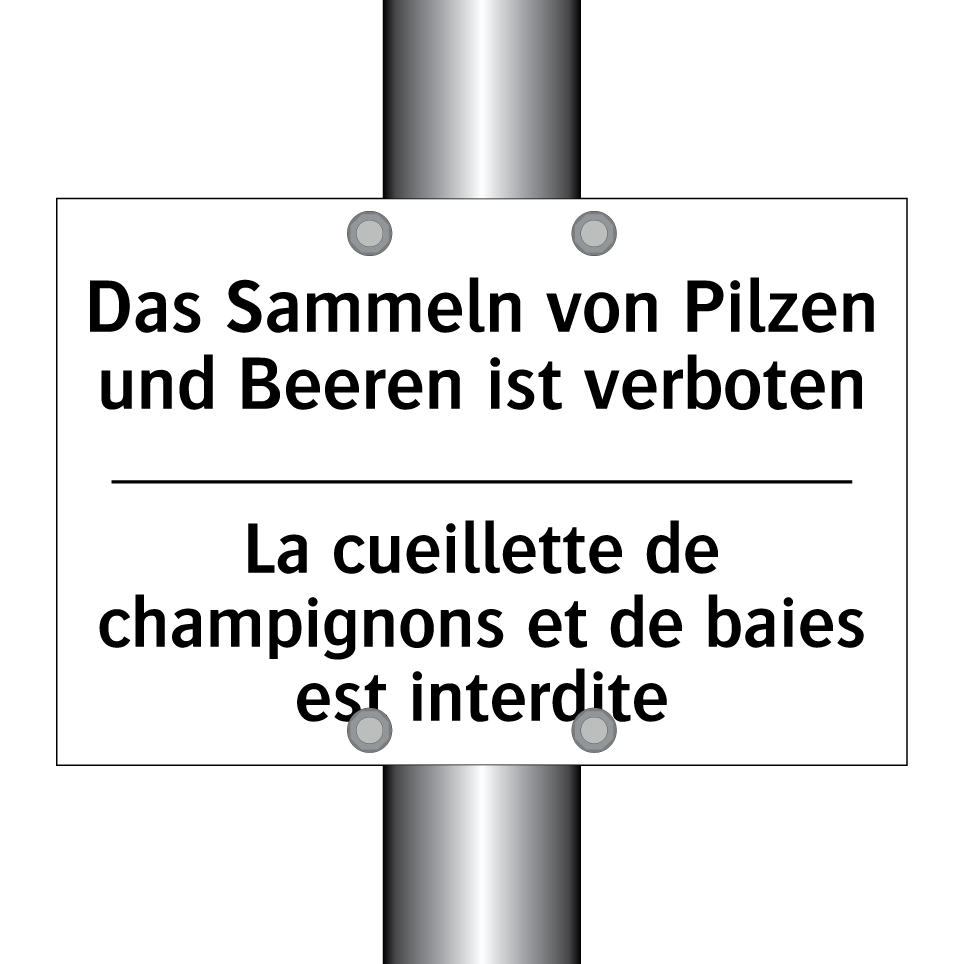 Das Sammeln von Pilzen und Beeren /.../ - La cueillette de champignons et /.../