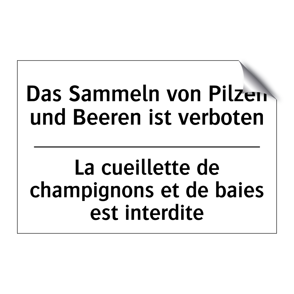 Das Sammeln von Pilzen und Beeren /.../ - La cueillette de champignons et /.../