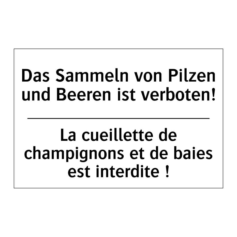 Das Sammeln von Pilzen und Beeren /.../ - La cueillette de champignons et /.../