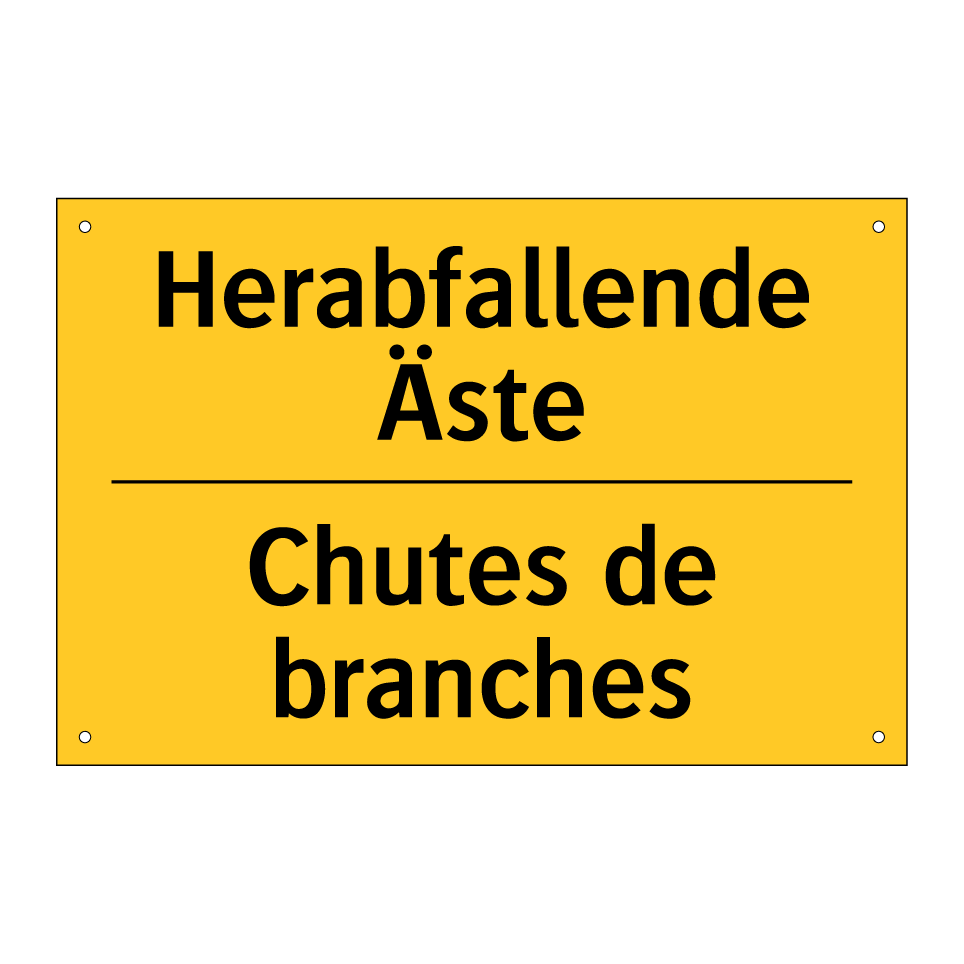 Herabfallende Äste - Chutes de branches