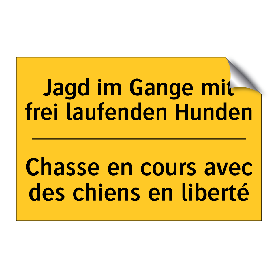 Jagd im Gange mit frei laufenden  /.../ - Chasse en cours avec des chiens  /.../