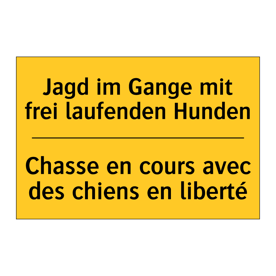 Jagd im Gange mit frei laufenden  /.../ - Chasse en cours avec des chiens  /.../