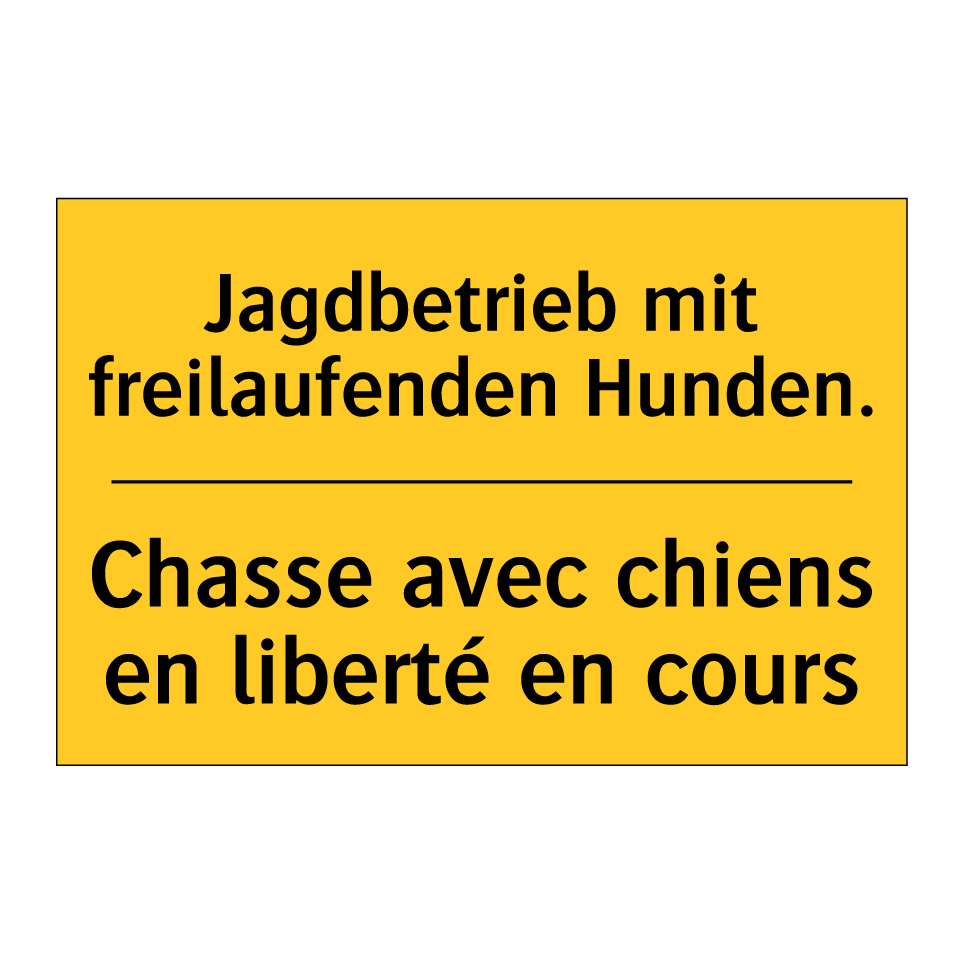 Jagdbetrieb mit freilaufenden  /.../ - Chasse avec chiens en liberté  /.../