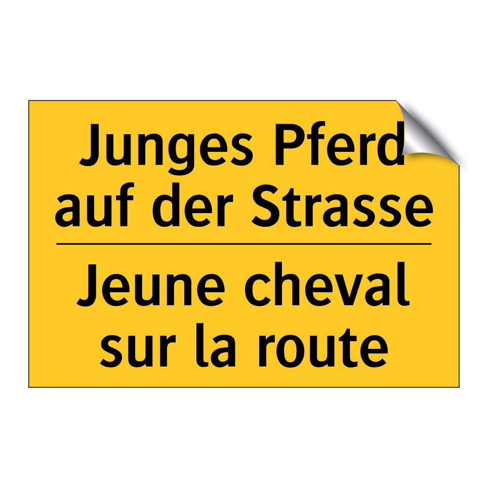 Junges Pferd auf der Strasse - Jeune cheval sur la route