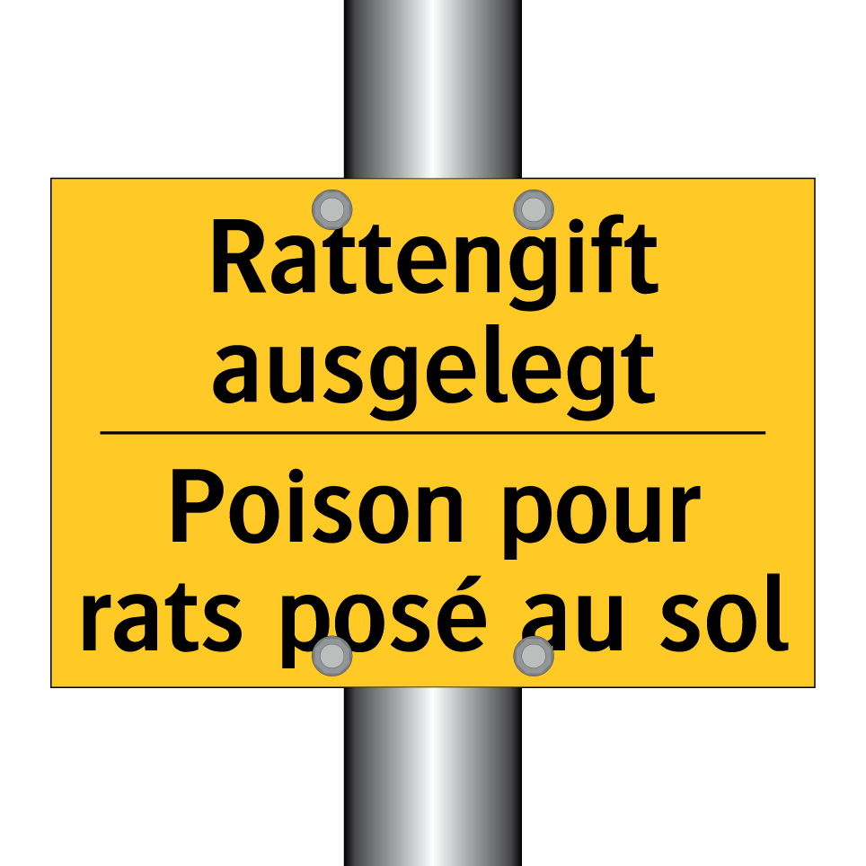 Rattengift ausgelegt - Poison pour rats posé au sol