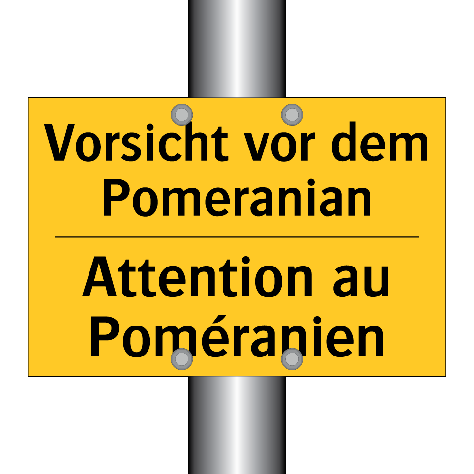 Vorsicht vor dem Pomeranian - Attention au Poméranien