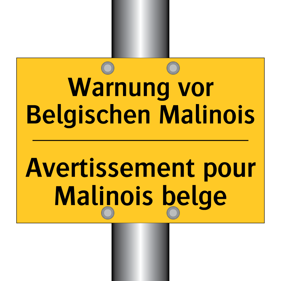 Warnung vor Belgischen Malinois /.../ - Avertissement pour Malinois belge /.../