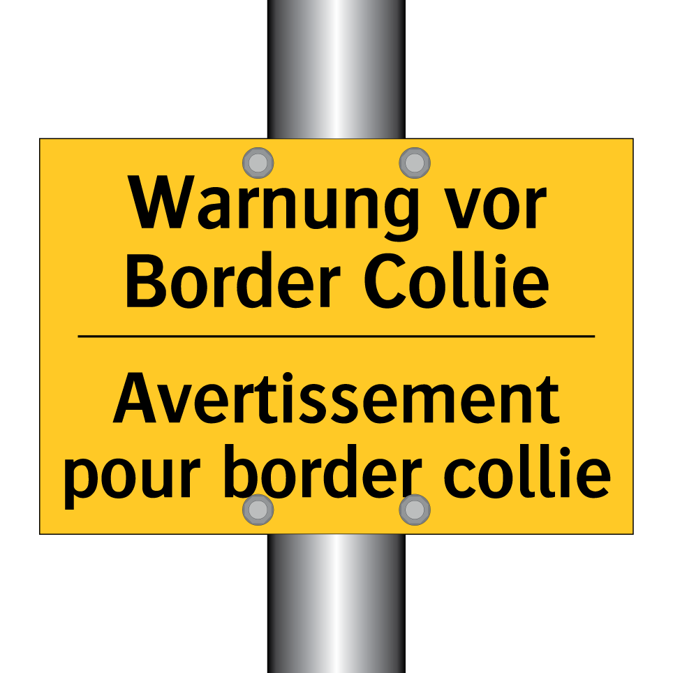 Warnung vor Border Collie - Avertissement pour border collie /.../
