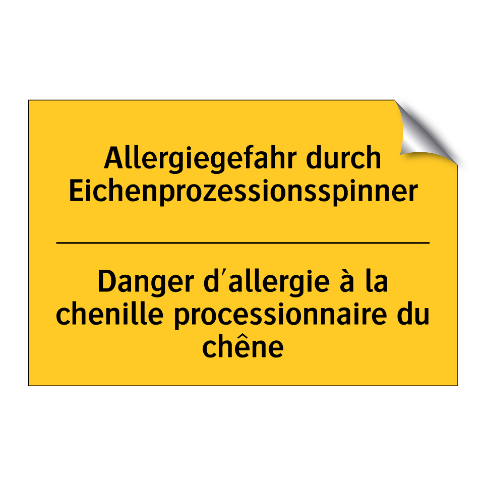 Allergiegefahr durch Eichenprozessionsspinner /.../ - Danger d'allergie à la chenille  /.../